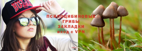 круглые Аркадак