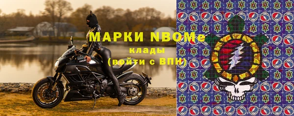 шишки Алексин