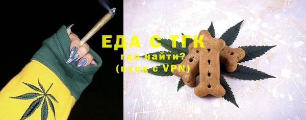 индика Алзамай