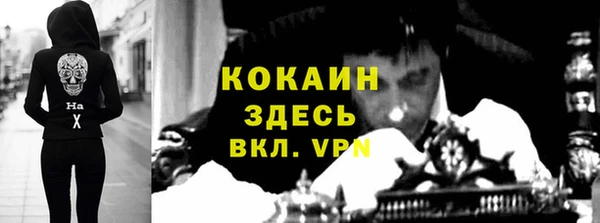 индика Алзамай