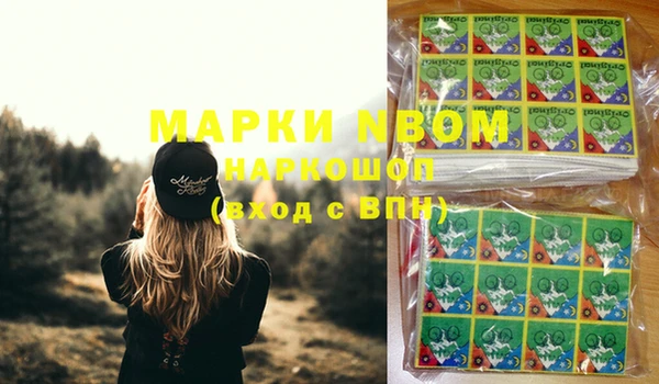 шишки Алексин