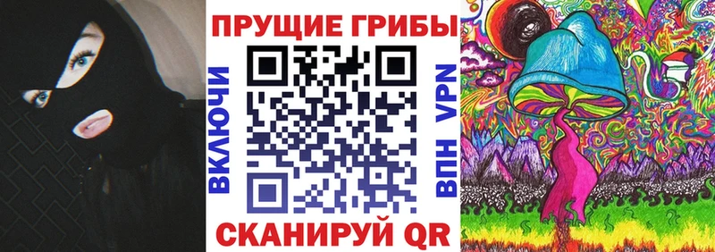 Галлюциногенные грибы Psilocybe  Купить закладки  Сегежа 